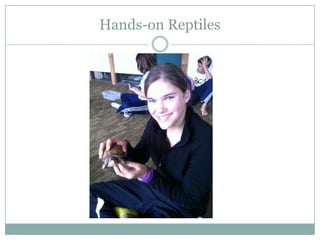 Hands-on Reptiles