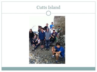 Cutts Island