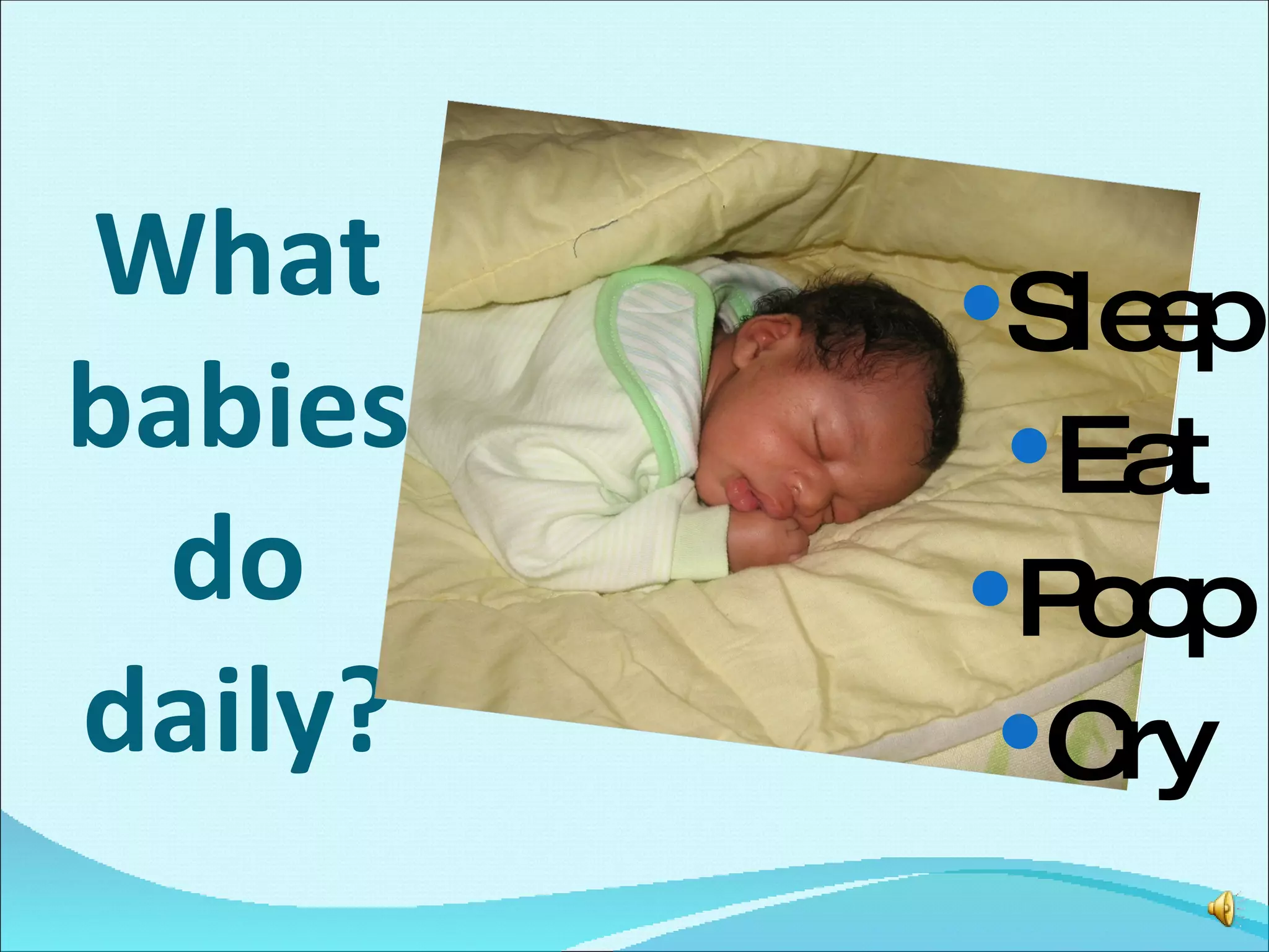 What babies do daily? Sleep Eat Poop Cry