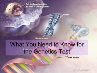 What You Need to Know for the Genetics Test 