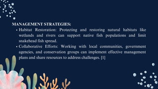 MANAGEMENT STRATEGIES:
Habitat Restoration: Protecting and restoring natural habitats like
wetlands and rivers can support native fish populations and limit
snakehead fish spread.
Collaborative Efforts: Working with local communities, government
agencies, and conservation groups can implement effective management
plans and share resources to address challenges. [1]
 