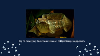 Fig 3: Emerging Infectious Disease (https://images.app.com).
 