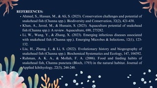 REFEREENCES:
Ahmed, S., Hassan, M., & Ali, S. (2023). Conservation challenges and potential of
snakehead fish (Channa spp.). Biodiversity and Conservation, 32(2), 421-438.
Khan, A., Javed, M., & Hussain, S. (2023). Aquaculture potential of snakehead
fish (Channa spp.): A review. Aquaculture, 690, 275282.
Li, W., Wang, Y., & Zhang, X. (2023). Emerging infectious diseases associated
with snakehead fish (Channa spp.). Emerging Microbes & Infections, 12(1), 123-
132.
Liu, H., Zhang, J., & Li, S. (2022). Evolutionary history and biogeography of
snakehead fish (Channa spp.). Biochemical Systematics and Ecology, 147, 104392.
Rahman, A. K. A., & Mollah, F. A. (2006). Food and feeding habits of
snakehead fish, Channa punctata (Bloch, 1793) in the natural habitat. Journal of
Applied Ichthyology, 22(3), 244-248.
 