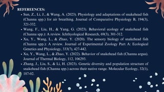 REFEREENCES:
Sun, Z., Li, J., & Wang, A. (2023). Physiology and adaptations of snakehead fish
(Channa spp.) for air breathing. Journal of Comparative Physiology B, 194(3),
321-332.
Wang, F., Liu, H., & Yang, G. (2023). Behavioral ecology of snakehead fish
(Channa spp.): A review. Ichthyological Research, 69(3), 301-312.
Xu, Y., Wang, L., & Zhao, Y. (2020). The sensory biology of snakehead fish
(Channa spp.): A review. Journal of Experimental Zoology Part A: Ecological
Genetics and Physiology, 333(7), 427-442.
Xu, Y., Wang, L., & Zhao, Y. (2022). Behavior of snakehead fish (Channa argus).
Journal of Thermal Biology, 112, 106293.
Zhang, J., Liu, S., & Li, H. (2023). Genetic diversity and population structure of
snakehead fish (Channa spp.) across their native range. Molecular Ecology, 32(1),
187-02.
 
