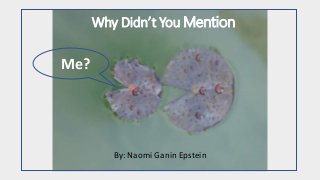 Why Didn’t You Mention
By: Naomi Ganin Epstein
Me?
 