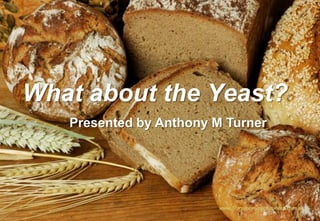 What about the Yeast? www.TransformyourBusiness.com.au Presented by Anthony M Turner 