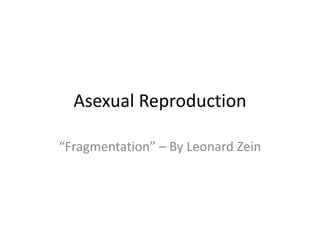 Asexual Reproduction “Fragmentation” – By Leonard Zein 