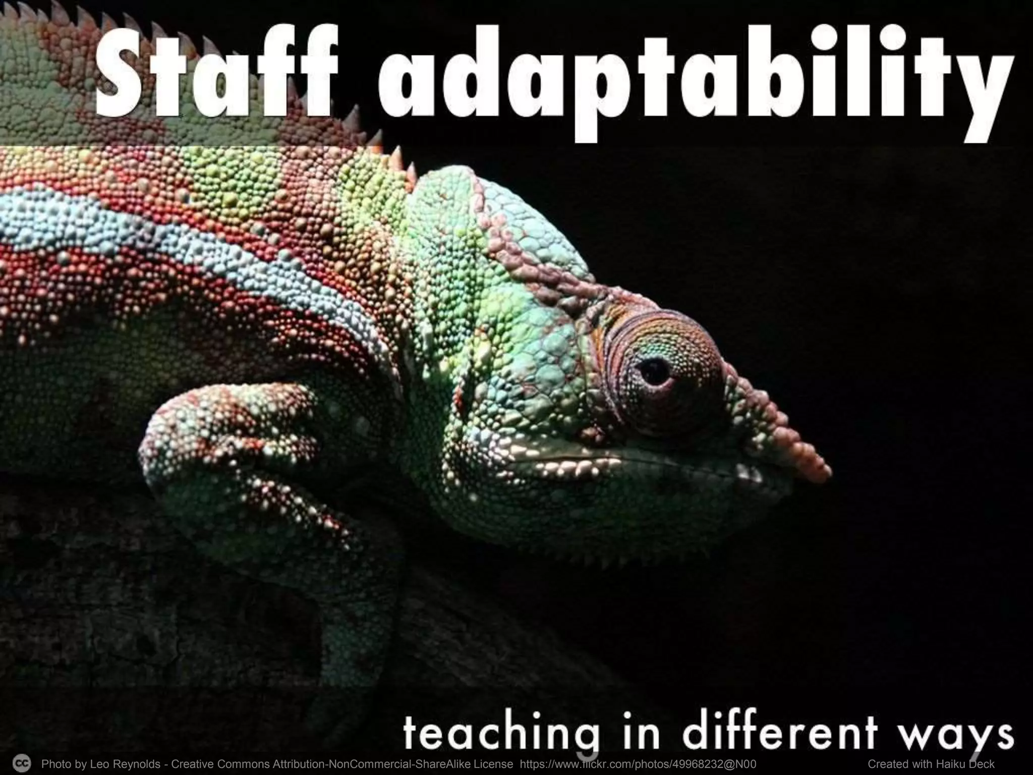 Photo by Leo Reynolds - Creative Commons Attribution-NonCommercial-ShareAlike License https://www.flickr.com/photos/49968232@N00 Created with Haiku Deck
 