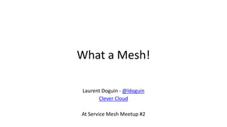 What a Mesh!
Laurent Doguin - @ldoguin
Clever Cloud
At Service Mesh Meetup #2
 