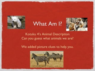 What Am I?
Kotuku 4’s Animal Description
Can you guess what animals we are?
We added picture clues to help you.
 