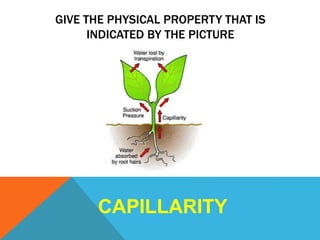 GIVE THE PHYSICAL PROPERTY THAT IS
INDICATED BY THE PICTURE
CAPILLARITY
 