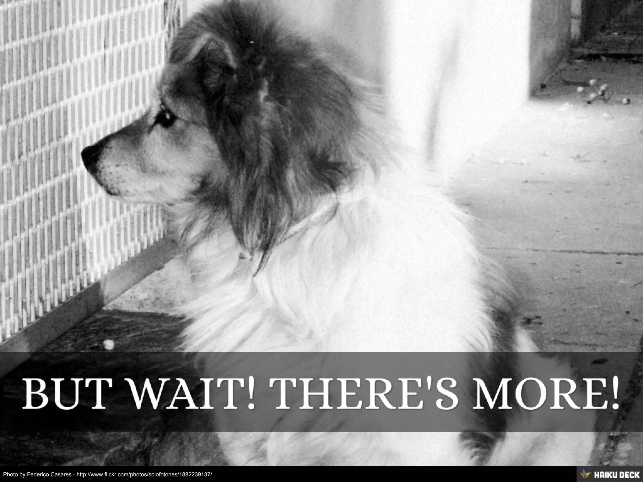 Photo by Federico Casares - http://www.flickr.com/photos/solofotones/1882239137/