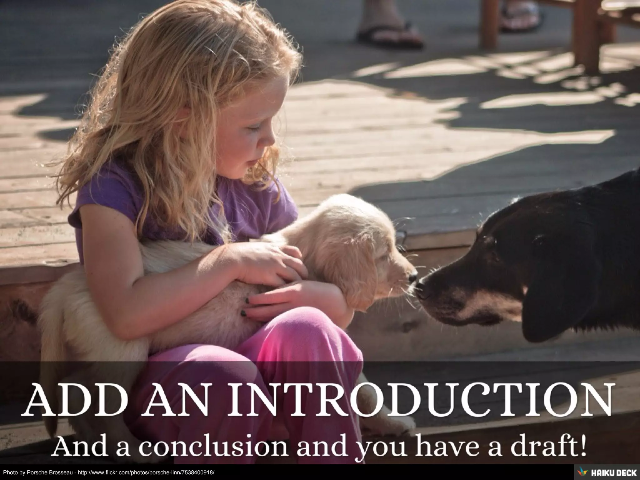 Photo by Porsche Brosseau - http://www.flickr.com/photos/porsche-linn/7538400918/