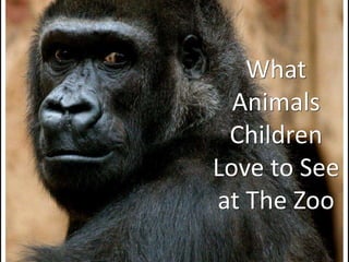 What
Animals
Children
Love to See
at The Zoo
 