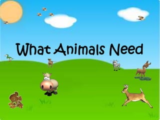 What Animals Need
 