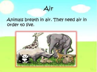 Air
Animals breath in air. They need air in
order to live.
 