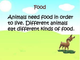 What animals need