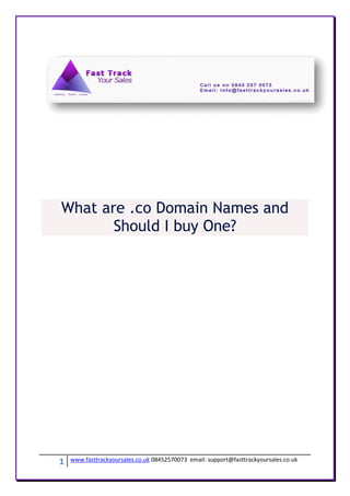 What are .co Domain Names and
       Should I buy One?




1   www.fasttrackyoursales.co.uk 08452570073 email: support@fasttrackyoursales.co.uk
 