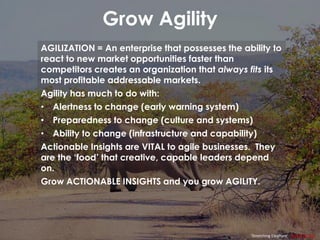 Grow Agility
‘Stretching Elephant’ David W. Siu
AGILIZATION = An enterprise that possesses the ability to
react to new market opportunities faster than
competitors creates an organization that always fits its
most profitable addressable markets.
Agility has much to do with:
• Alertness to change (early warning system)
• Preparedness to change (culture and systems)
• Ability to change (infrastructure and capability)
Actionable Insights are VITAL to agile businesses. They
are the ‘food’ that creative, capable leaders depend
on.
Grow ACTIONABLE INSIGHTS and you grow AGILITY.
 