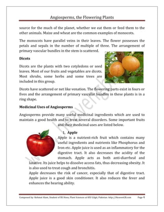 What are angiosperms | DOCX