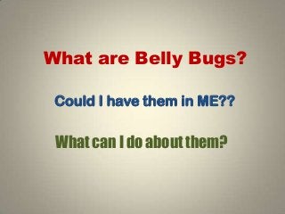 What are Belly Bugs?
Could I have them in ME??
What can I do about them?
 