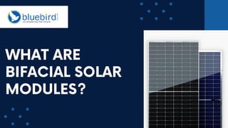 WHAT ARE
BIFACIAL SOLAR
MODULES?
 