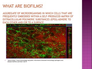  Source https://www.immunology.org/public-information/bitesized-immunology/pathogens-and-
disease/biofilms-and-their-role-in
 