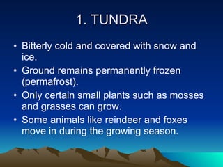 1. TUNDRA Bitterly cold and covered with snow and ice. Ground remains permanently frozen (permafrost). Only certain small plants such as mosses and grasses can grow. Some animals like reindeer and foxes move in during the growing season. 
