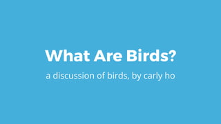 What Are Birds?
a discussion of birds, by carly ho
 