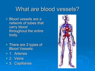 What are blood vessels? ,[object Object],[object Object],[object Object],[object Object],[object Object]