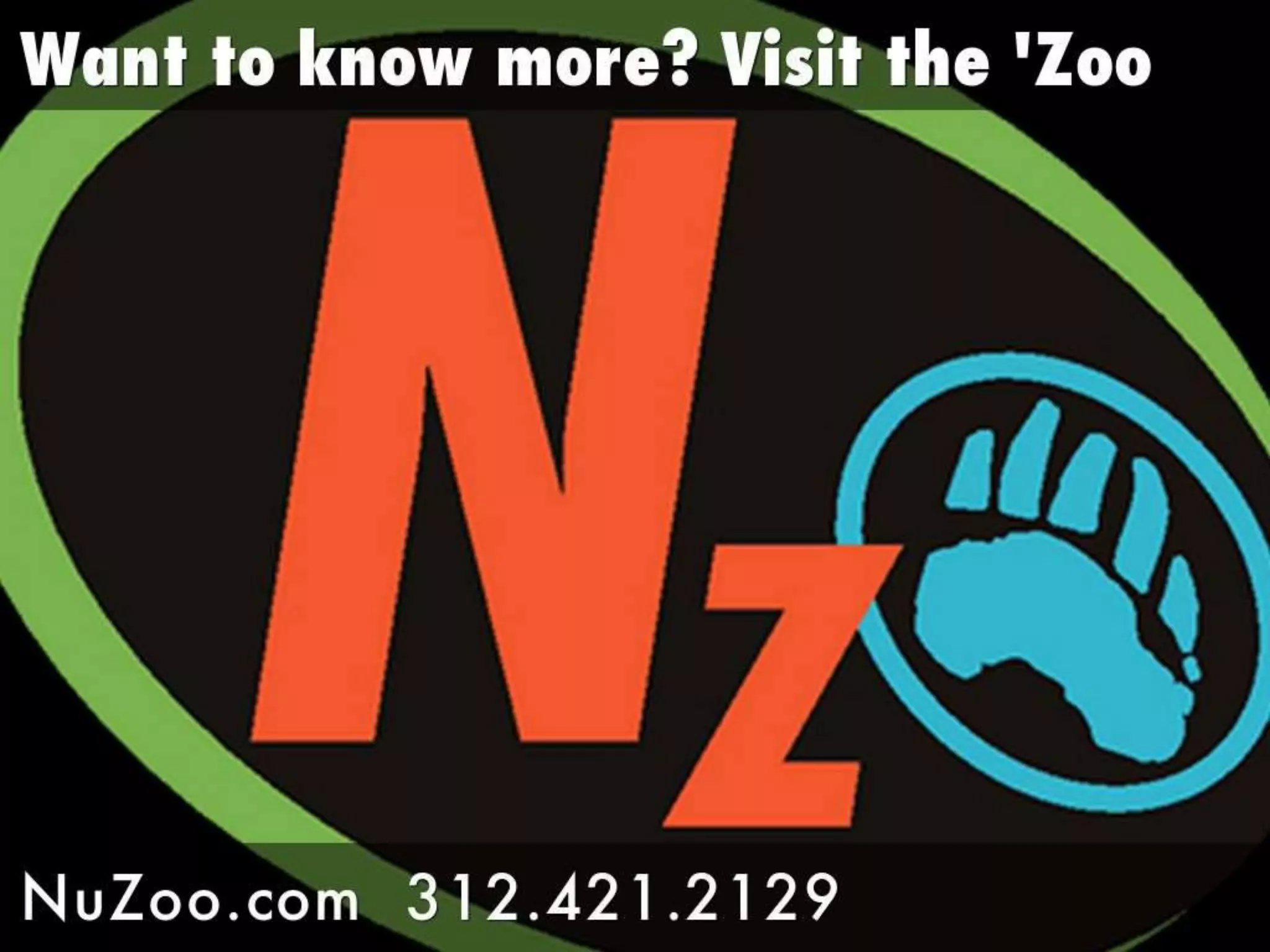 What are branded videos