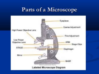 Parts of a MicroscopeParts of a Microscope
 