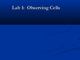 Lab 1: Observing CellsLab 1: Observing Cells
 
