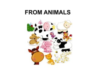 FROM ANIMALS
 