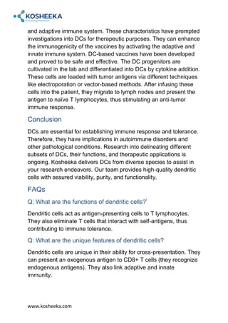 What Are Dendritic Cells and Their Role in Immunobiology? | PDF