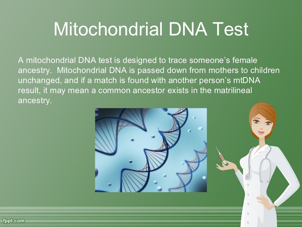 what-are-different-types-of-dna-tests