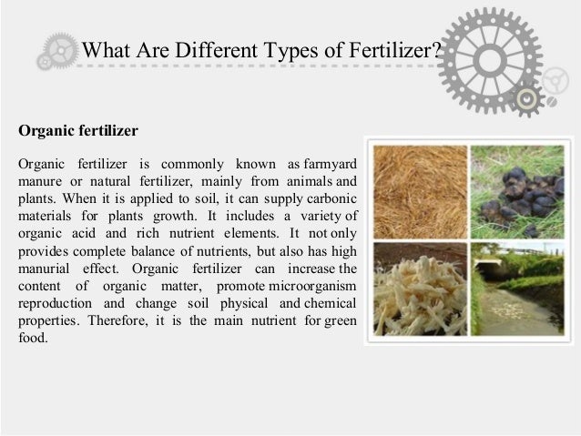 7 Easy Facts About What Is Fertilizer? Organic Vs Inorganic ... Explained