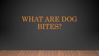 WHAT ARE DOG
BITES?
 