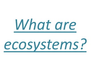 What are
ecosystems?
 