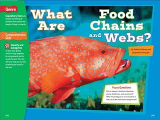 What Are Food Chains And Webs