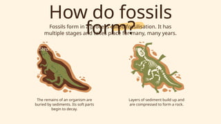 Understanding Fossils: Insights into Earth's Past and Fossilization ...