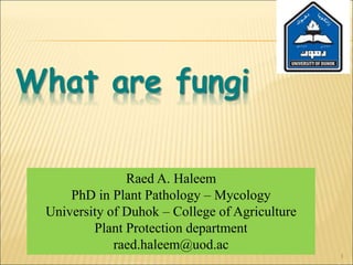 1
What are fungi
Raed A. Haleem
PhD in Plant Pathology – Mycology
University of Duhok – College of Agriculture
Plant Protection department
raed.haleem@uod.ac
 