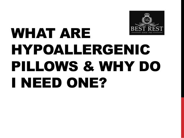 What Are Hypoallergenic Pillows Amp Why Do I Best Restusa