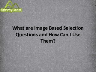 What are Image Based Selection
Questions and How Can I Use
Them?
 