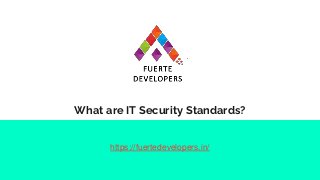 What are IT Security Standards?
https://fuertedevelopers.in/
 