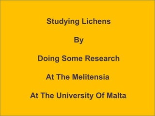 Studying Lichens

            By

  Doing Some Research

    At The Melitensia

At The University Of Malta.
 