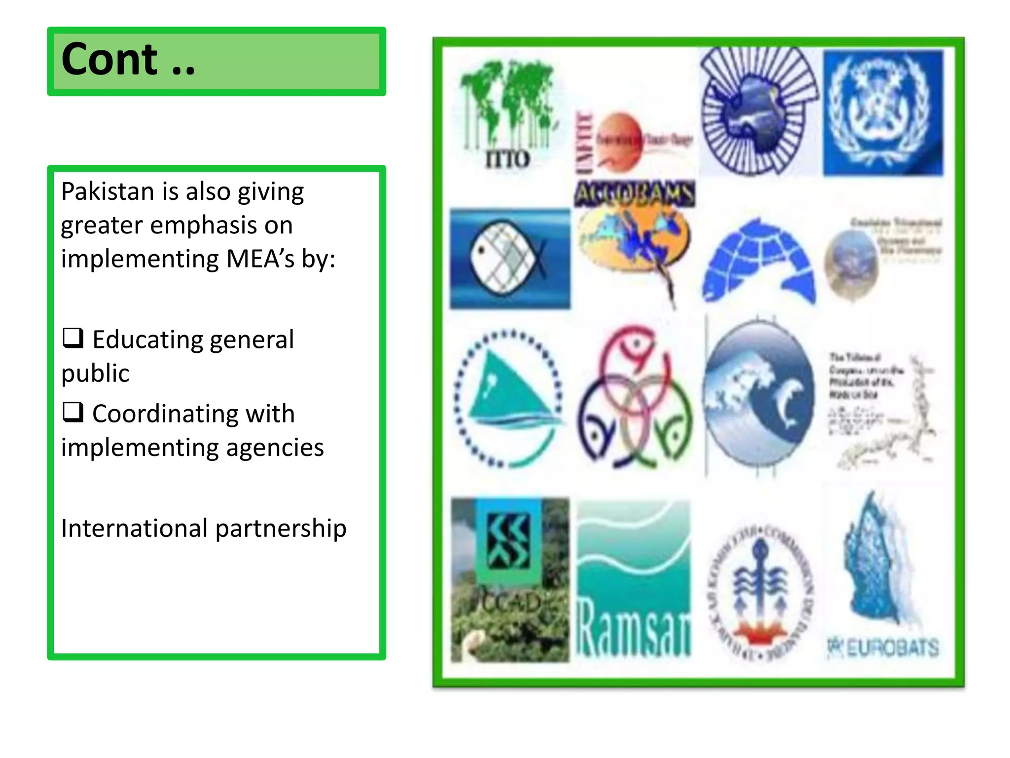 What are multilateral environmental agreements | PPTX