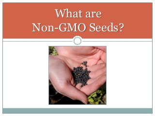What are
Non-GMO Seeds?
 