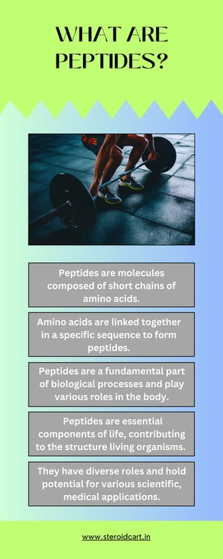 WHAT ARE
PEPTIDES?
www.steroidcart.in
Peptides are molecules
composed of short chains of
amino acids.
Amino acids are linked together
in a specific sequence to form
peptides.
Peptides are a fundamental part
of biological processes and play
various roles in the body.
Peptides are essential
components of life, contributing
to the structure living organisms.
They have diverse roles and hold
potential for various scientific,
medical applications.
 