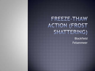 Blockfield
Felsenmeer
 